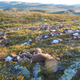 Image for article titled Photos: Lightning struck more than 300 wild reindeer in Norway